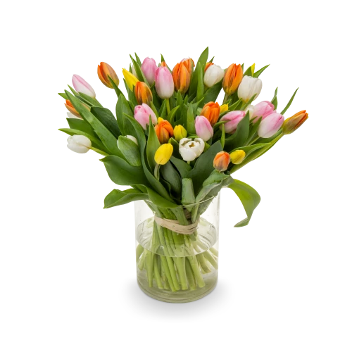 Kytice  tulipánů